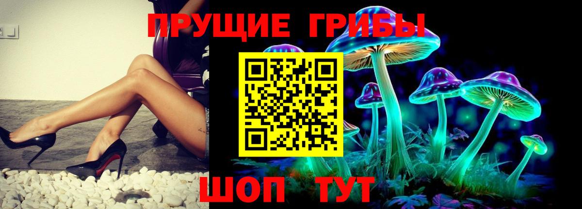 Галлюциногенные грибы Psilocybine cubensis  купить наркоту  Нижнеудинск  Вход с VPN 